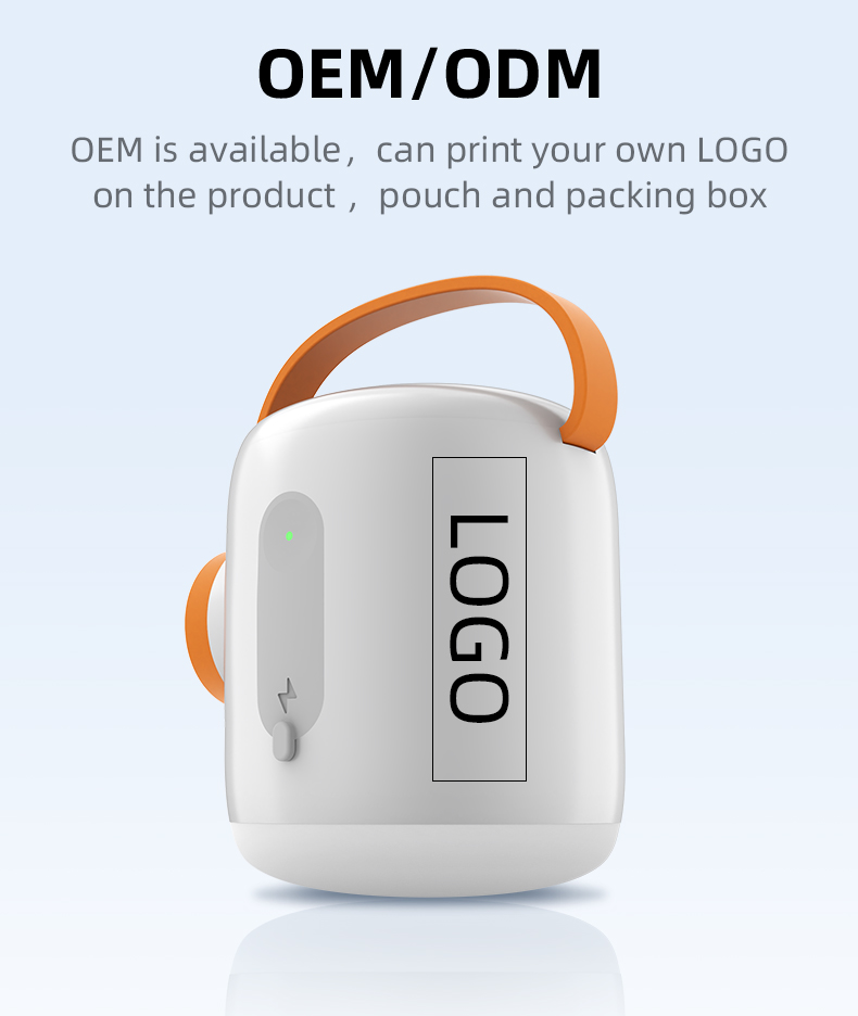 Portable Electric Air Pump For Inflatables AP5